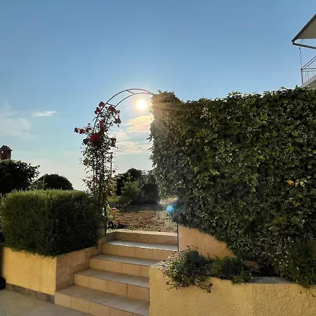 Gordana Buzolic Hvar Town